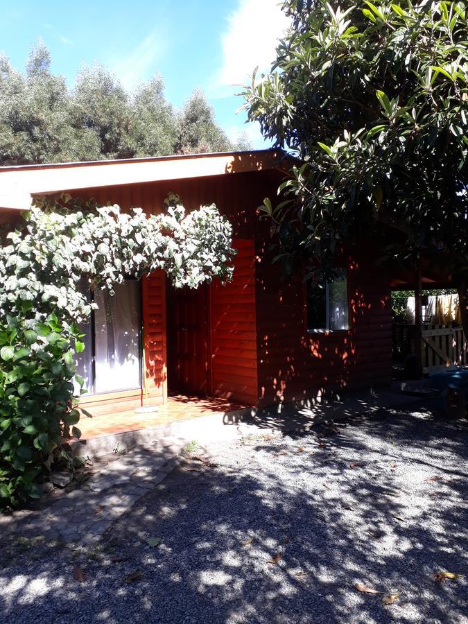 Cabana La Araucaria El Manzano  エクステリア 写真